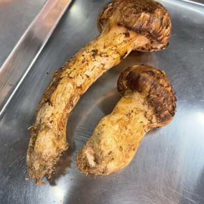 松茸ともがみ鴨のsio中華蕎麦