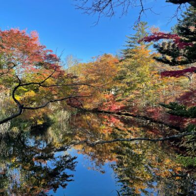 雲場池の澄んだ鏡