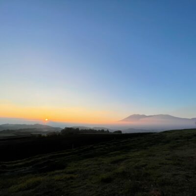 ワールドシリーズ