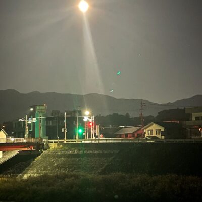 白い美味しいスープ