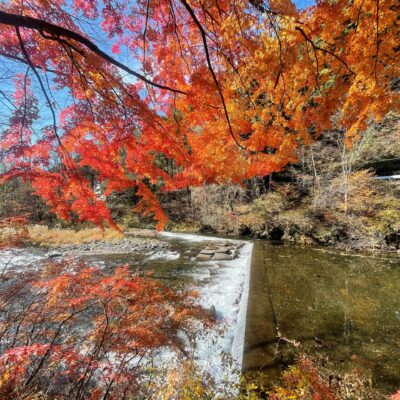 いいとこ見つけました