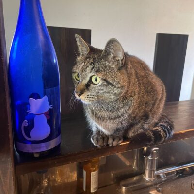 白湯らぁ麺はあとちょっと