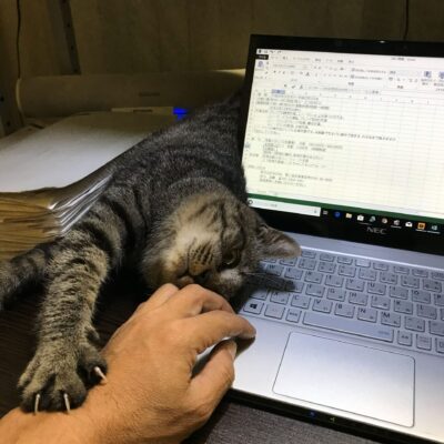 雪でなくてよかった