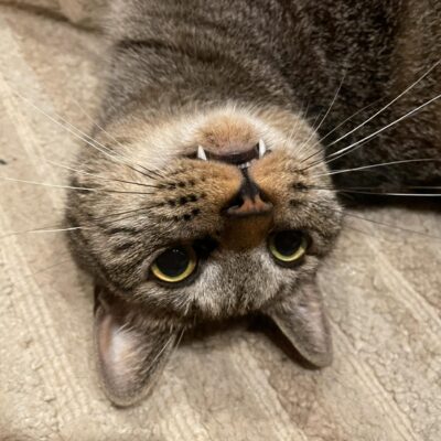 怖くて体重計に乗れない