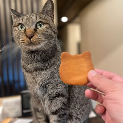 とんこつ型シガレット