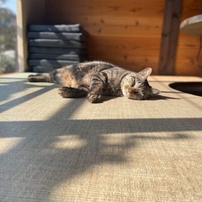 離れてはならぬ