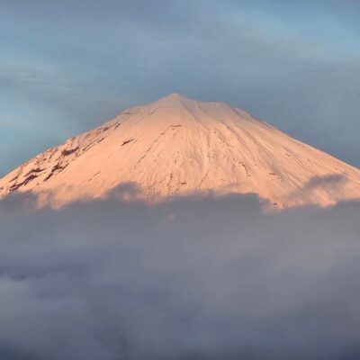 リアルな夢だったけど…