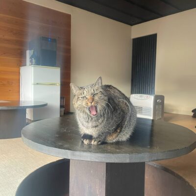 年に一度のあの日。。。