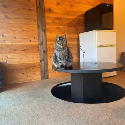 そんなに積もらないかな