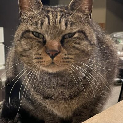 大切なものを失わないように