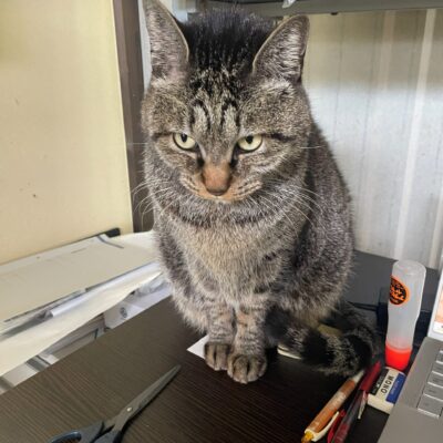 立春！更に良くなるぞ～(^O^)／