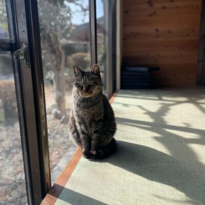 本日もお客様感謝祭特別闇営業